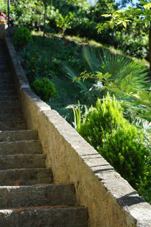 B&B Villa La Petra San Nicola Arcella Εξωτερικό φωτογραφία